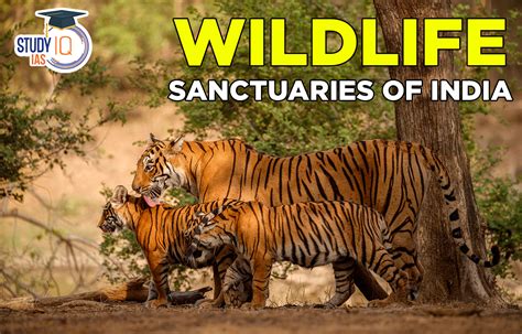wildlife sanctuary in indore